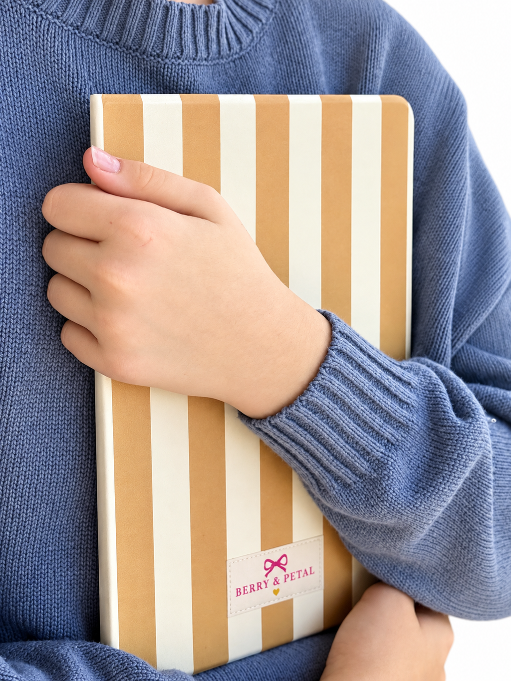 Cocoa Stripe iPad Case
